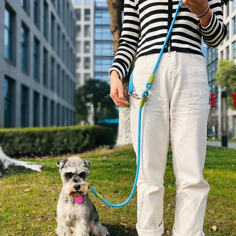 Reflective-Nylon-Leashes-Pet-Dogs-Chain-Traction-Rope-Leads-for-Running-Dog-Walking-Free-Hands-Rope.jpg_